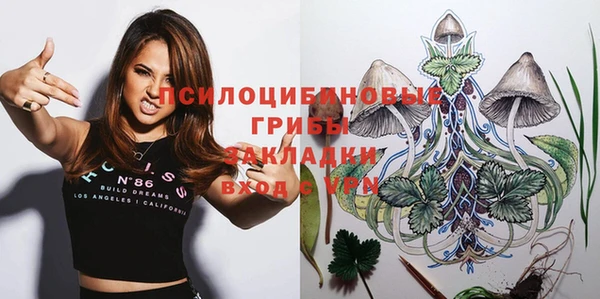 молекула духа Балахна