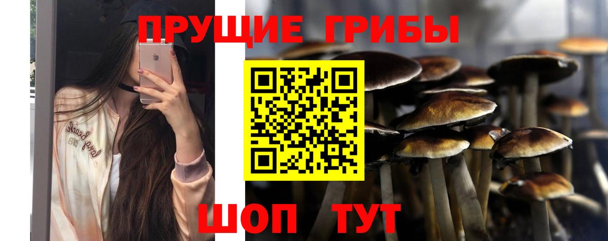Галлюциногенные грибы Cubensis  наркотики  Новый Уренгой  Вход с VPN 