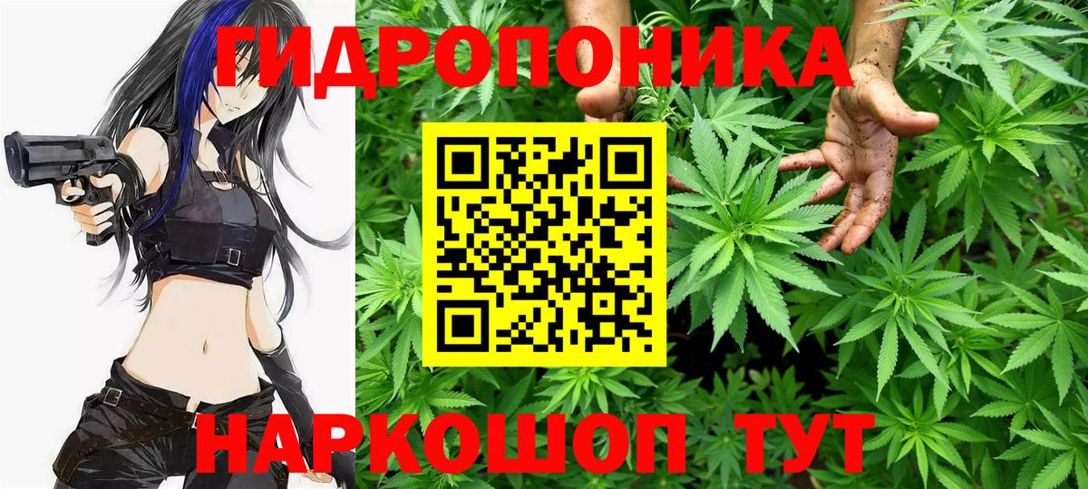 Марихуана планчик  Конопля гибрид  Вход с VPN  Каннабис семена  Новый Уренгой 
